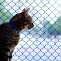 mallas para gatos
